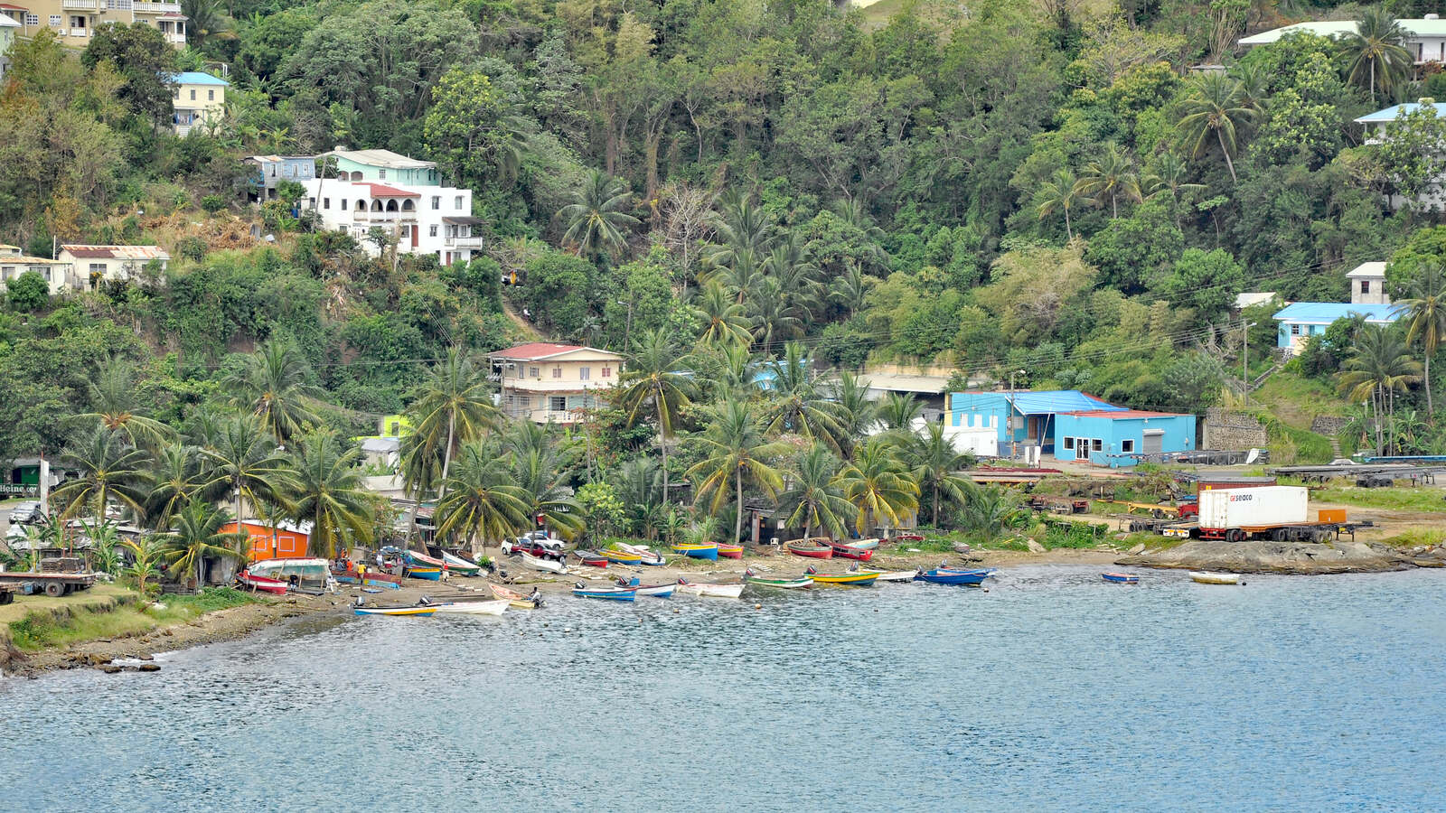 Painted fishing boats pulled up on the shore of Castries Harbour, Saint Lucia, below palm trees and hillside homes